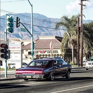 Meet your Posher, Saied